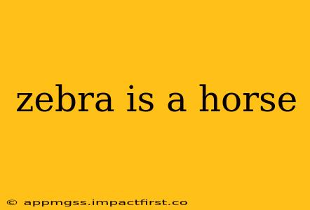 zebra is a horse