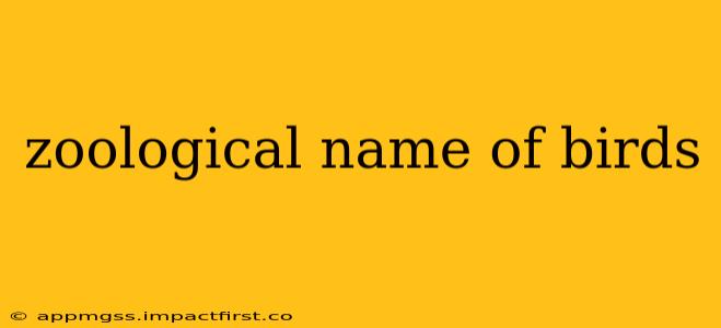 zoological name of birds